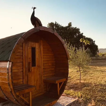 Tenuta Morganti Отель типа 