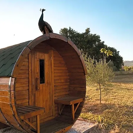 Tenuta Morganti 3* Torano Nuovo
