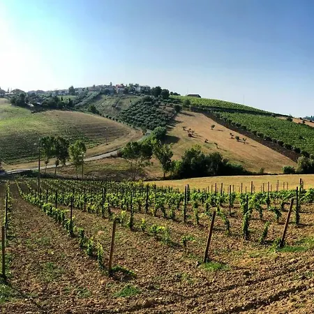 Tenuta Morganti Torano Nuovo