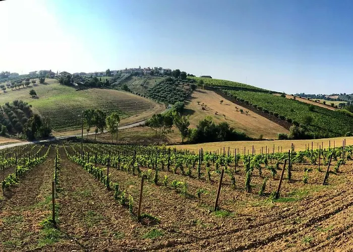 Tenuta Morganti Torano Nuovo